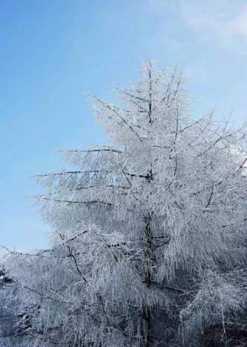 打卡雅安絕佳賞雪地泥巴山泥巴山隧道在四川什麼位置泥巴山路況海拔