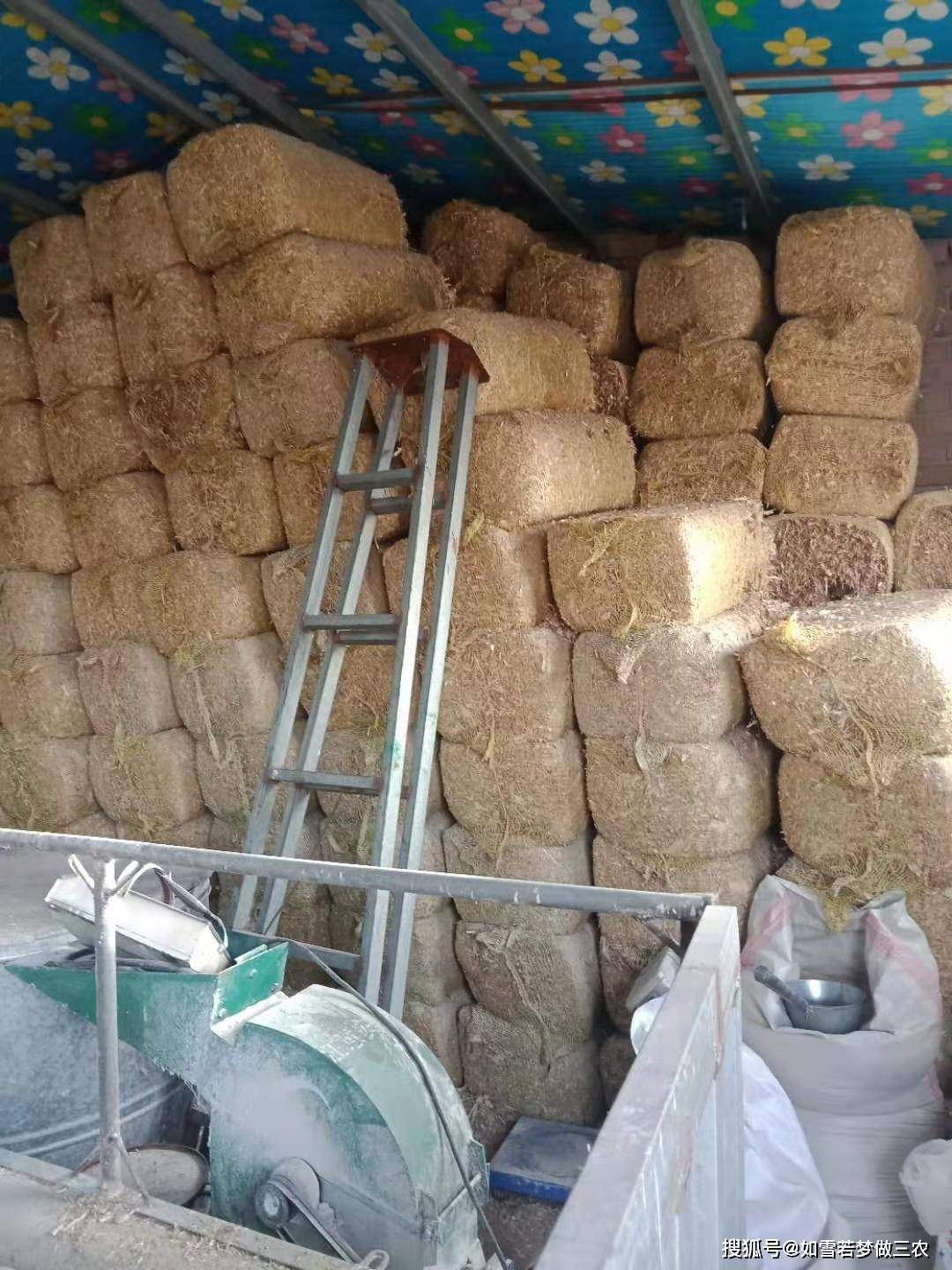 肉牛养殖草料,干草料和青储料,鉴别管理及饲喂注意事项