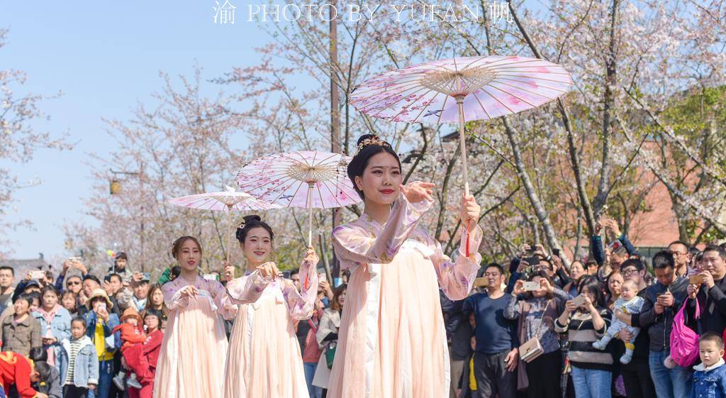 国人何必去日本穿和服拍樱花，扬州樱花大道一场汉服快闪惊艳众生