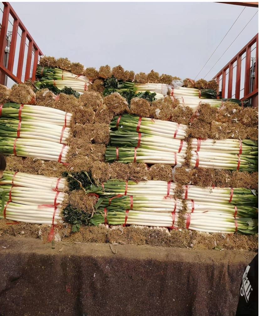 原创曾经6元批发不愁卖,大量囤积等涨价,现遭抵制卖不动,网友:该