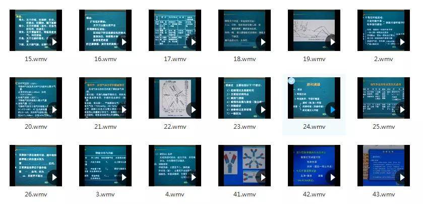 8698a21d58a24d60a615b243f8767f43.jpeg