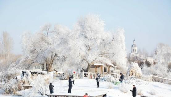 冰天雪地的哈爾濱,在這個冬天,一定要去一次_手機搜狐網