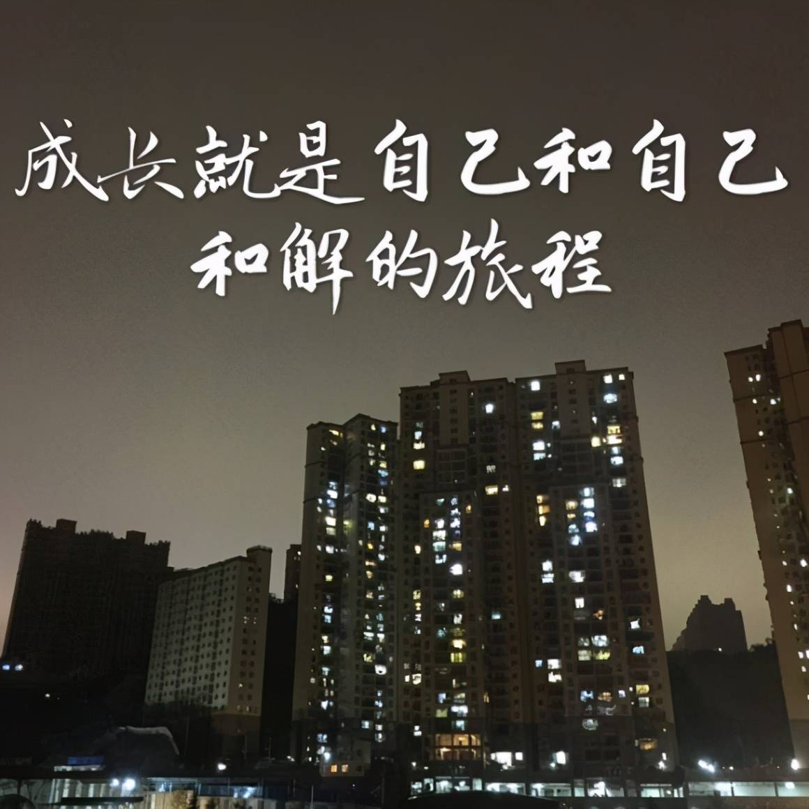 你拼命想摆脱的孤独,恰恰是成年人的奢侈品