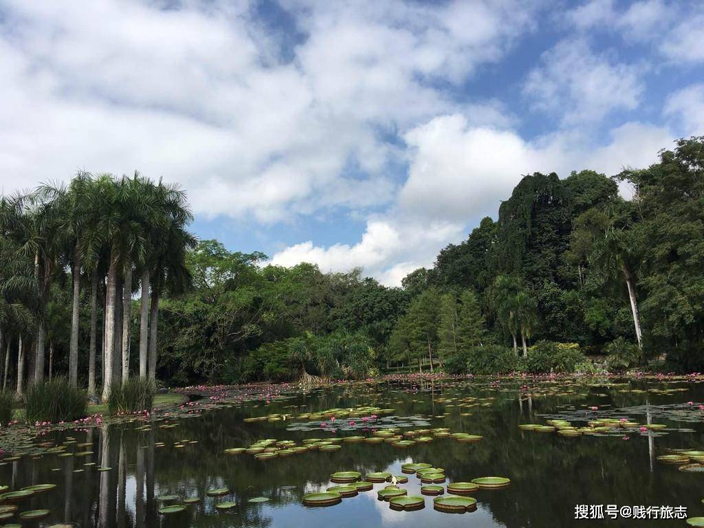 西双版纳唯一的国家级5A景区，门票80元你们觉得贵吗