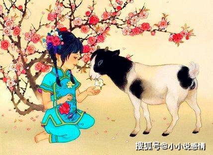 属羊人今日运势及运程男 583a5b54b86248e990702f4df7a5d15f.jpeg
