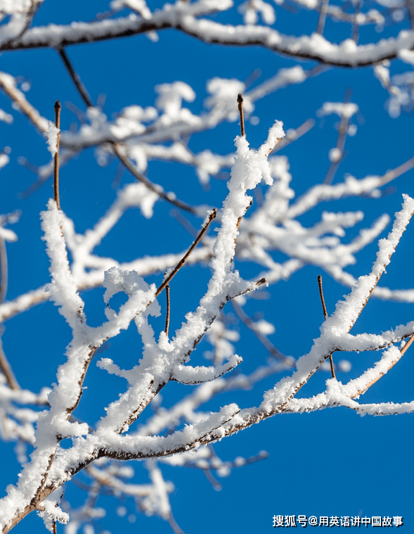 雪在古代的别称，原来每一场雪都独一无二！