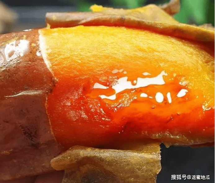 蜜薯怎么吃好吃一点 97d8b92bb74e4994b387fae68981e03a.png