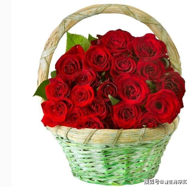 1月下旬这4个生肖 运势很不错 财运大盛赚大钱 过上富裕生活 横财