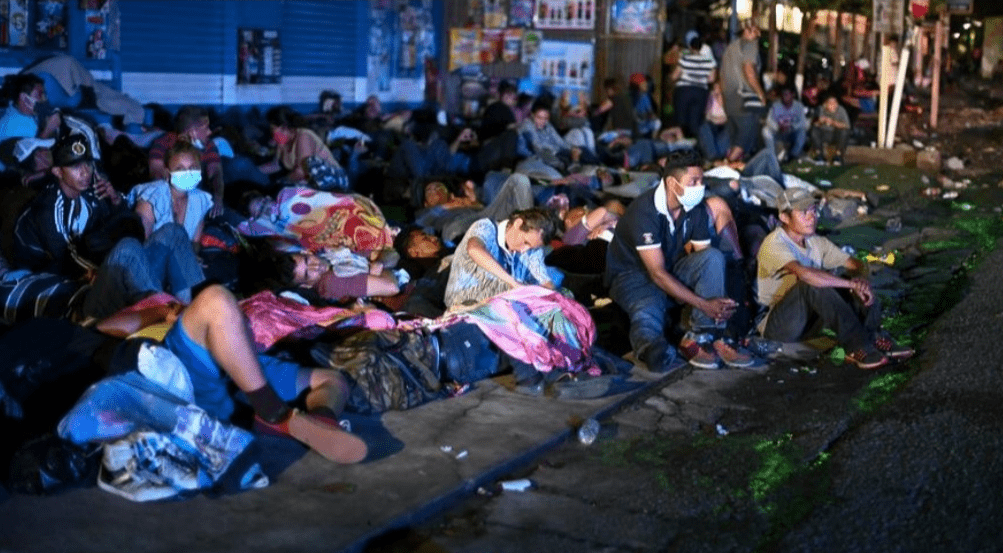 洪都拉斯gdp_洪都拉斯木纹龟(2)