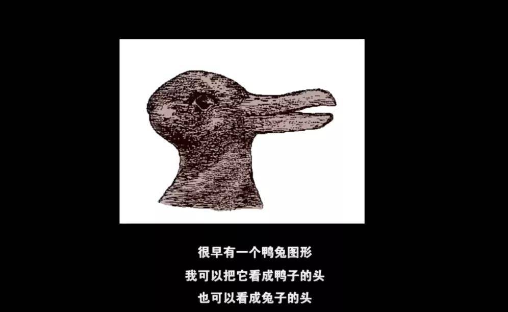 教授对《鸭兔元旦》的定义 然而,教授对于"鸭兔"形象 却有自己的