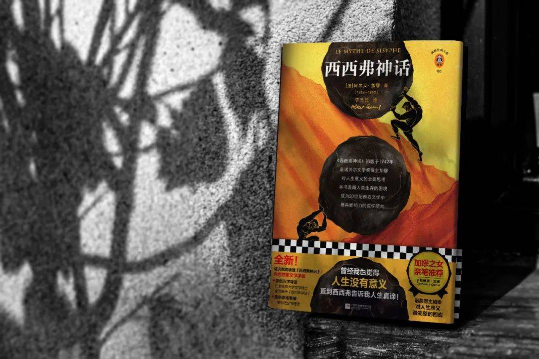 那这本书你一定要看!_西西