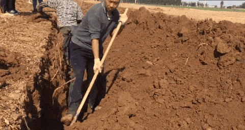 481_255gif 动态图 动图