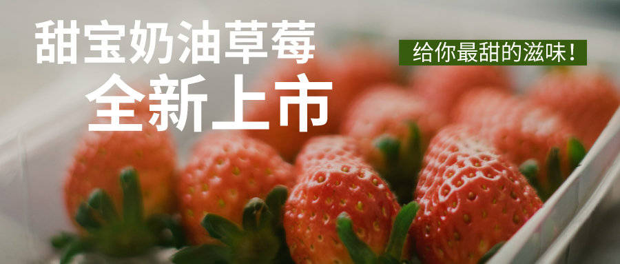 【草莓采摘】青岛即墨灵山草莓采摘园开园了，任意采摘，超大甜宝草莓