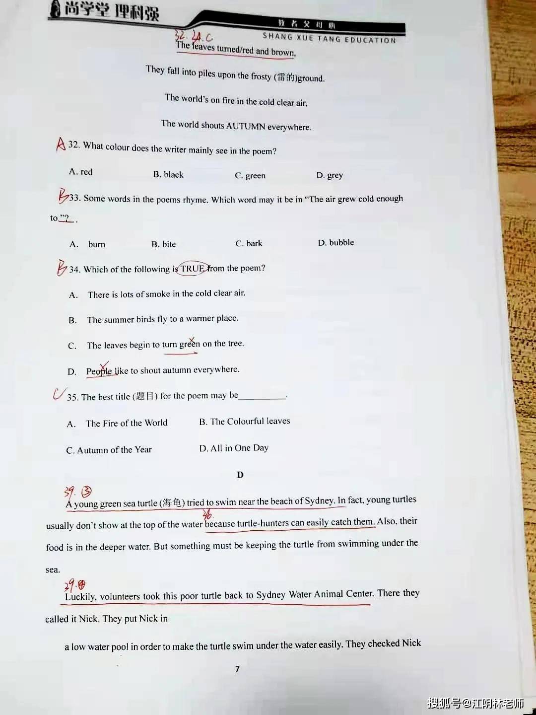 f19600a190f84a2a8da3f529e1bc502a.jpeg