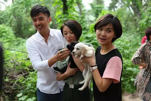 当王洋遇上电视剧：一场滑稽的演艺盛宴