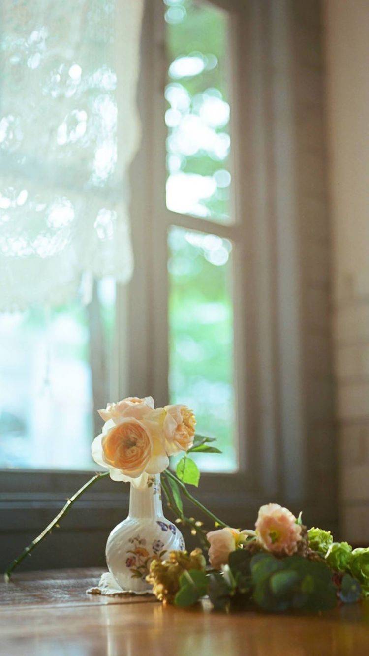 f7cad856d6d740b5af110a68ea1ecc18.jpeg