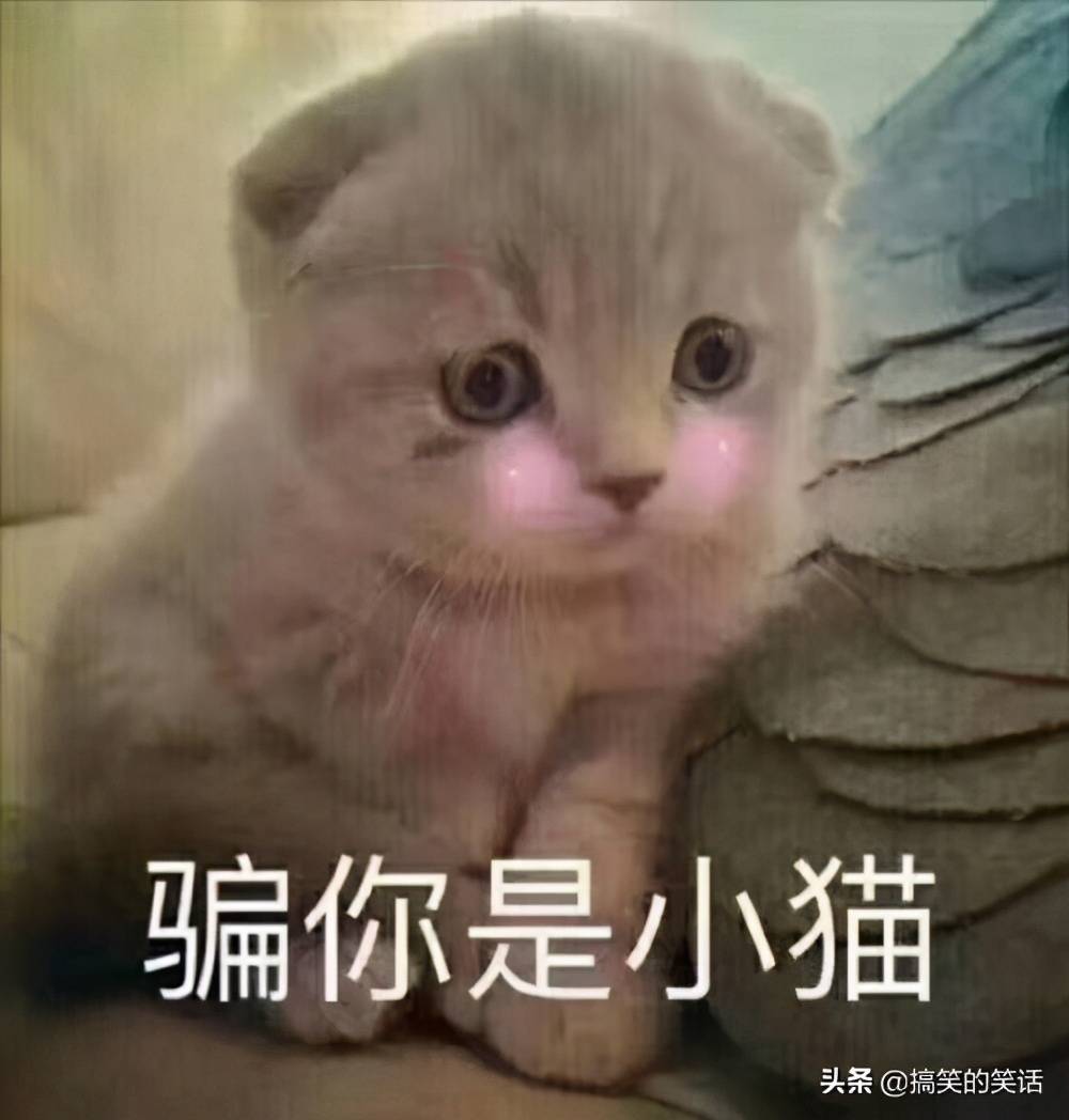 3bc2e22b8259439ab9423464e01d3794.jpeg