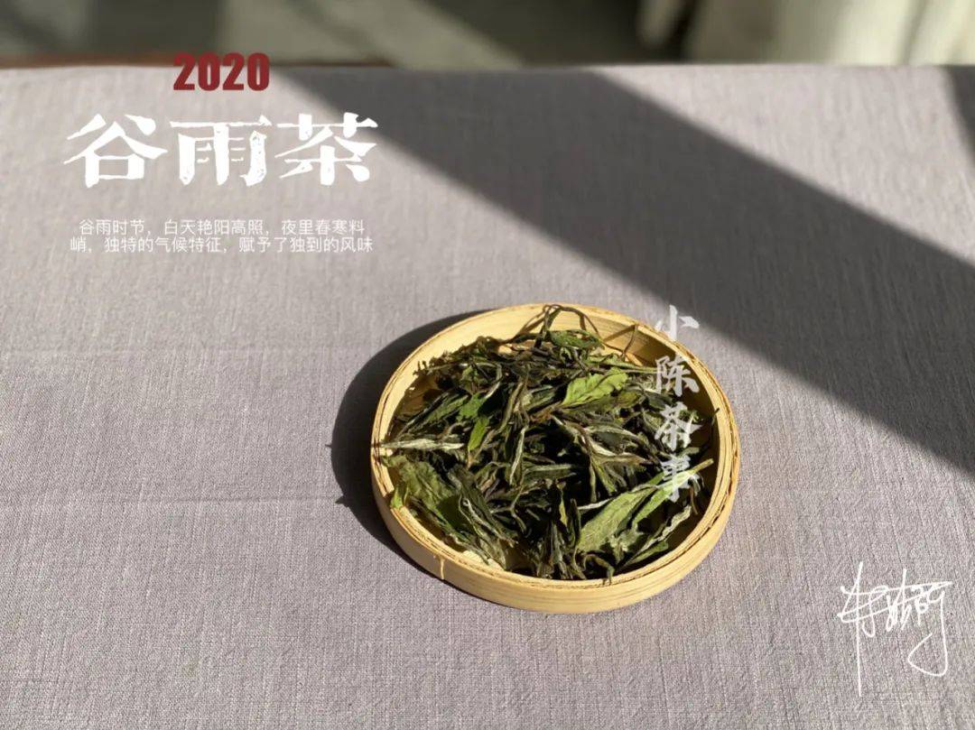 本是壽眉的身卻生出了白牡丹的風姿穀雨茶在暮春時節翩翩而來