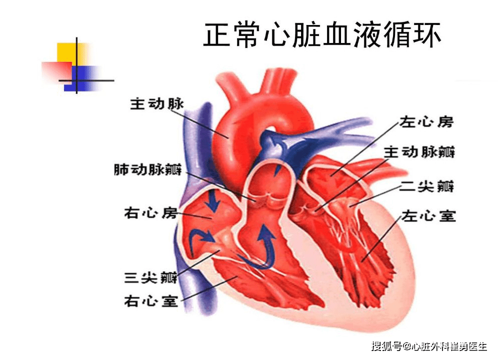 95167411c68f40278b6f860a04dd5e85.png