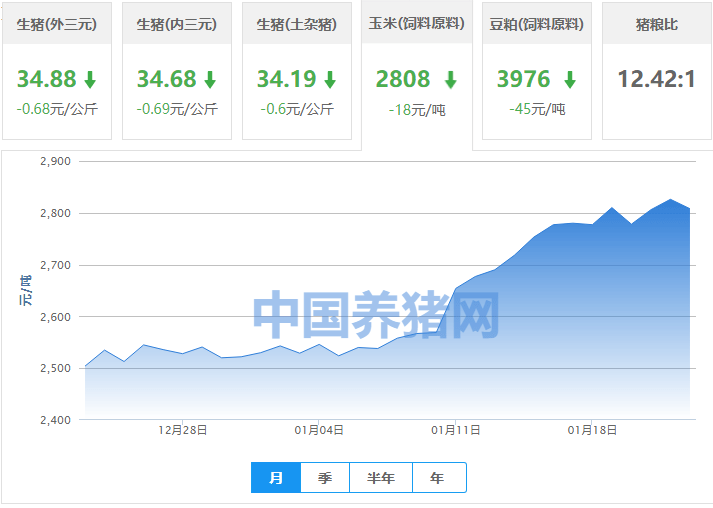 玉米价格今日最新数据 32560293da6c4dfc98e2d903ec1a3c1f.png