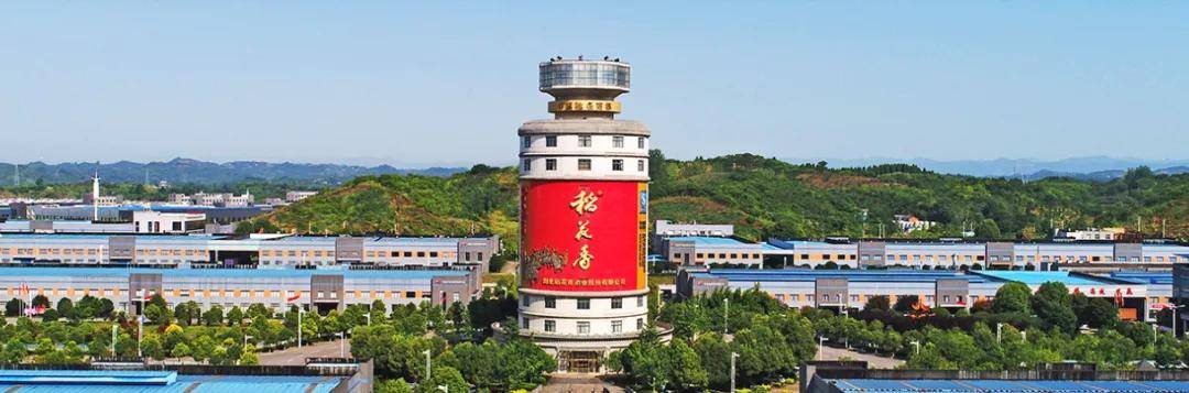 品味中国酒之稻花香二次创业新起航做强做大白酒主业