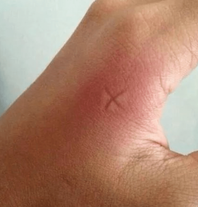 原创
开心一刻:昨天晚上,我老婆的闺蜜到我家来吃饭,她的酒量还是蛮好的