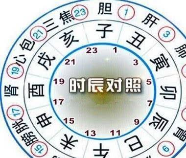 什么什么什么卯的成语_子午卯酉什么意思(3)