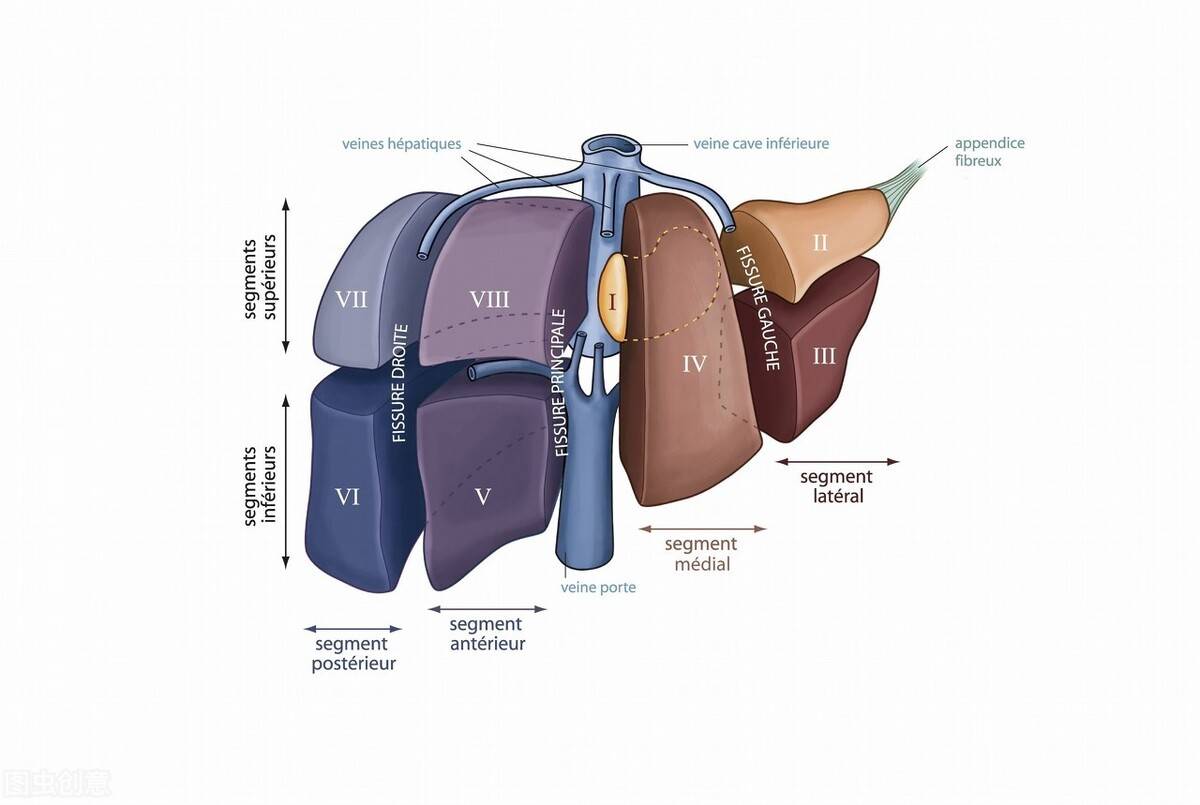 原创肝脏病变时脸上会有三个表现医生提示这三类人要多多留意