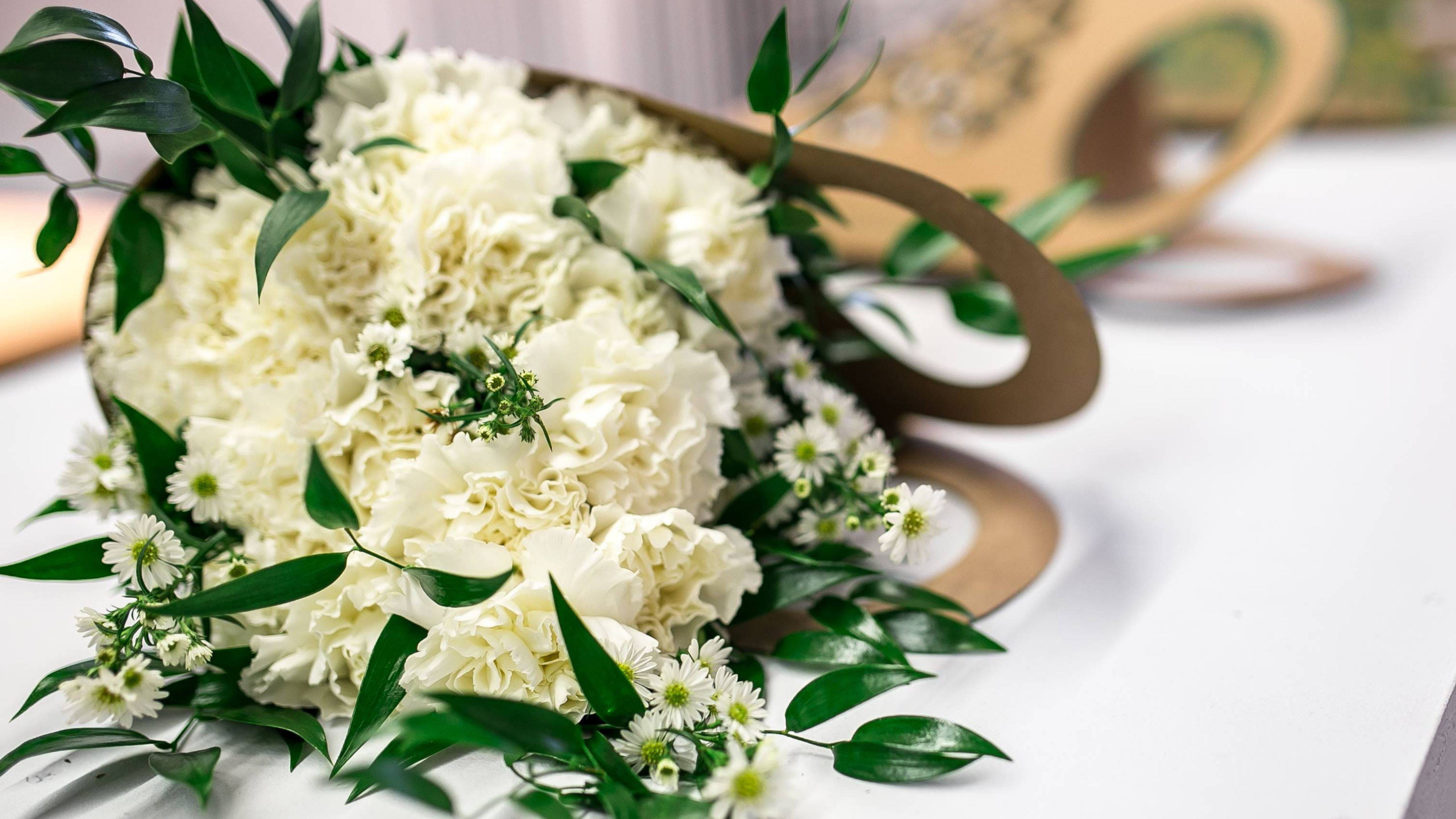 1月27日星座运势 双子全力以赴 狮子沟通顺畅 双鱼大度包容 工作