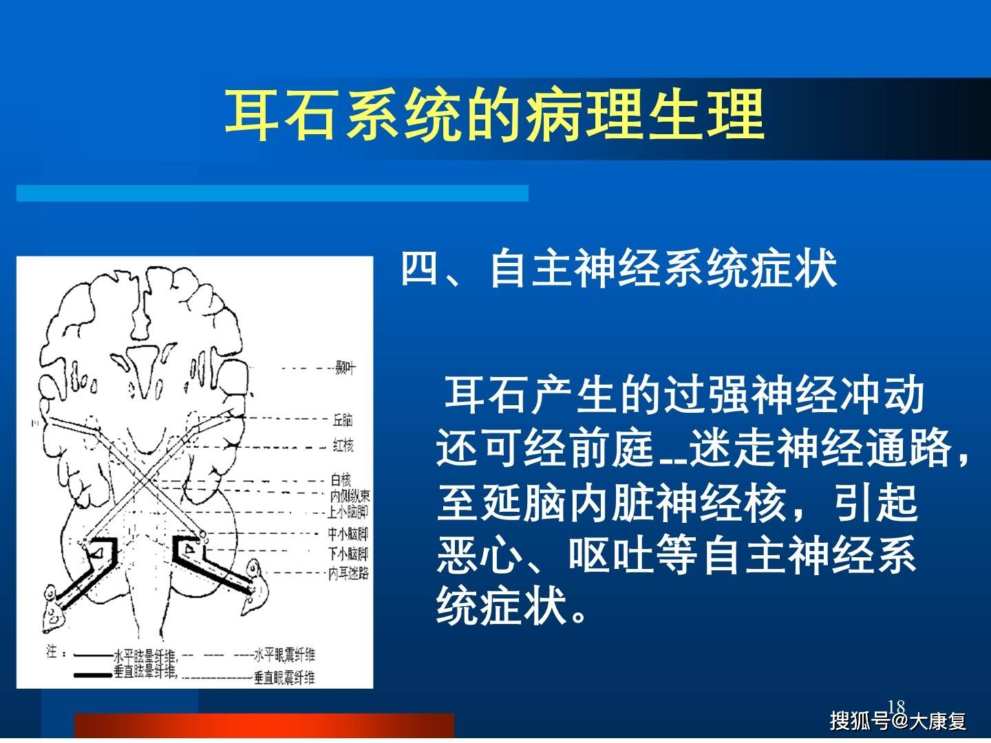 耳石功能检查法及其临床意义