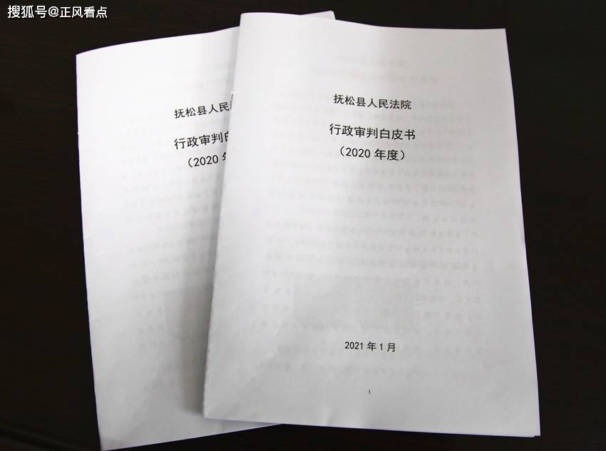 执法和应诉方面存在的问题,及时向涉府机关发出行政审判《白皮书》