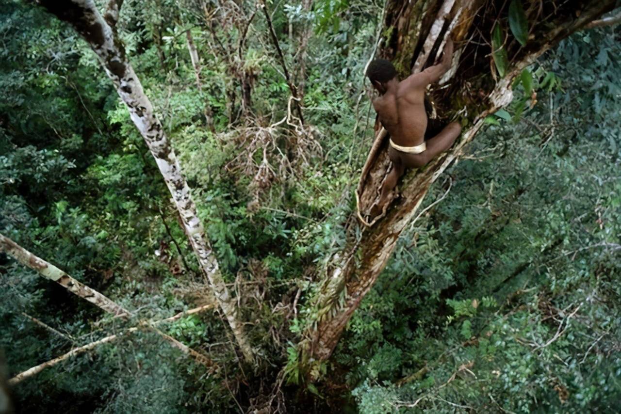 世界“危险”的3个建筑，一种回家爬树50米，印尼人“好犀利”