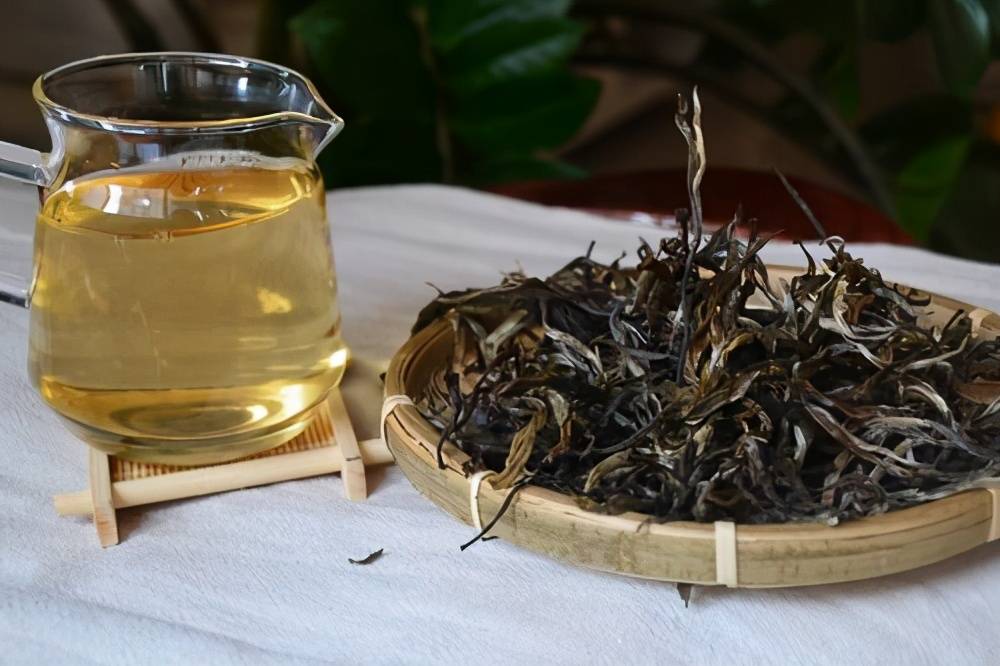 听说西双版纳产区，目前最火的山头普洱古树茶，是这6大茶山！
