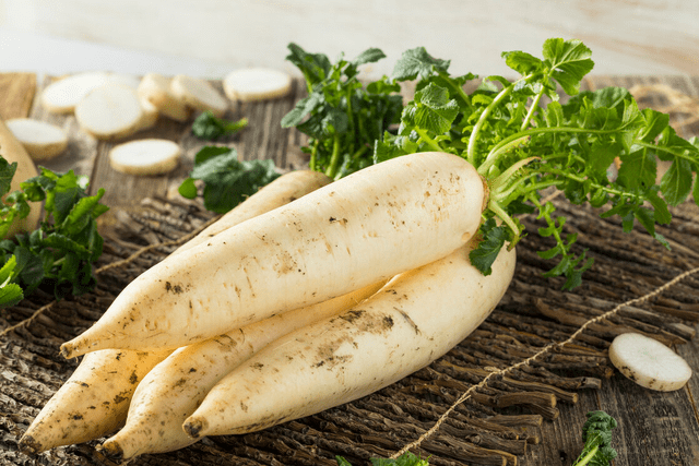 什么时间种白萝卜什么时间收 55961a5ca8ad45fdb2d59aef86359fac.png