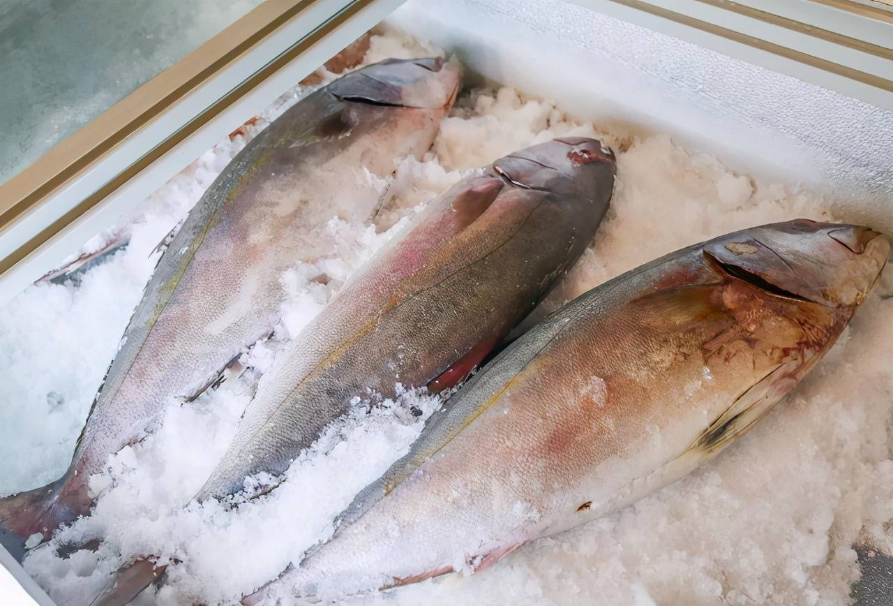 鱼放水里多久能解冻 5ea962877de84d22a8c53ffe18e0e641.jpeg