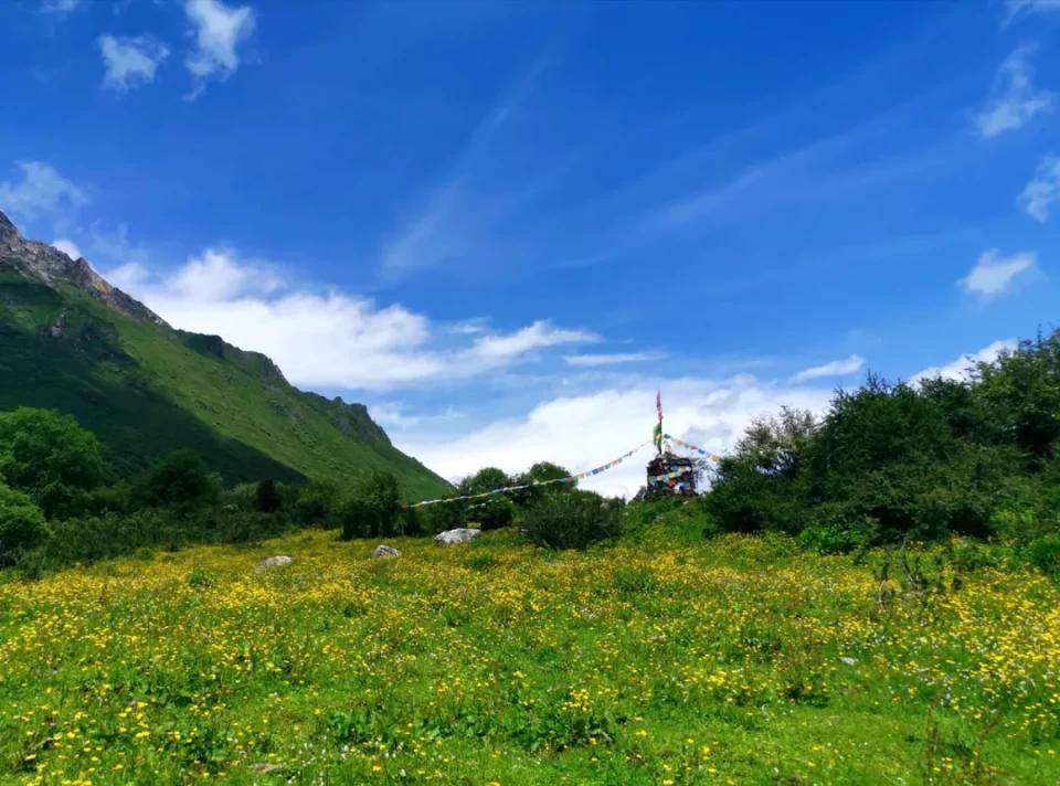 阿坝州又挖到一处小众梦幻地！壮阔云瀑、无垠花海……却至今无人识！