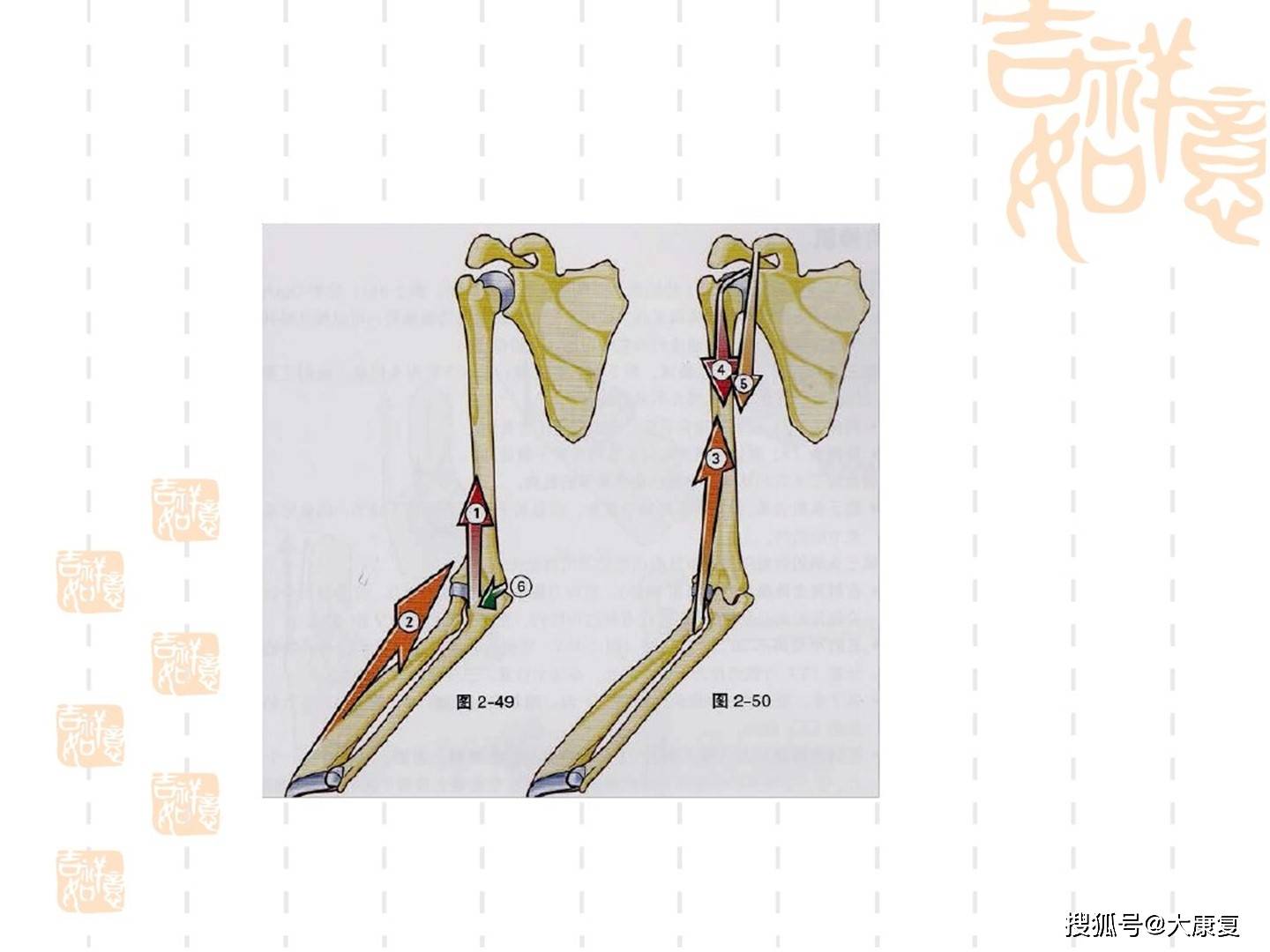 肘關節運動學