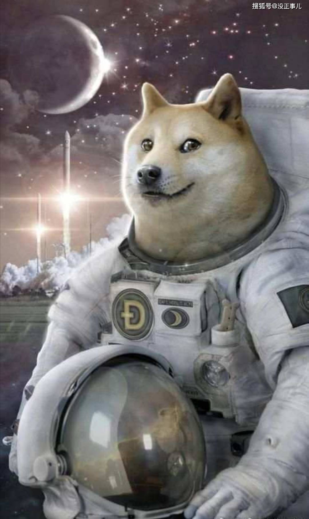 区块链上崛起的狗狗doge:明明是鼠年,狗狗却疯了!