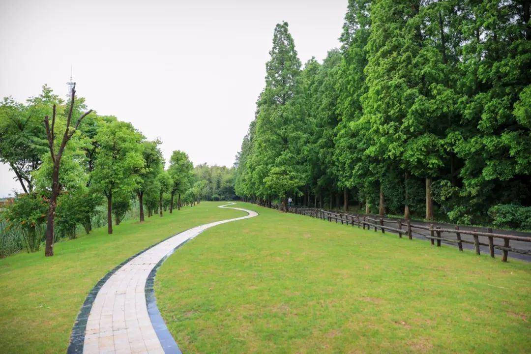 古镇|江苏同里古镇