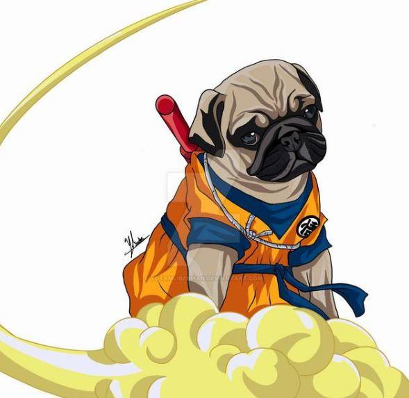 狗狗穿上动漫角色的衣服,实在太辣眼睛,换个品种不好吗!