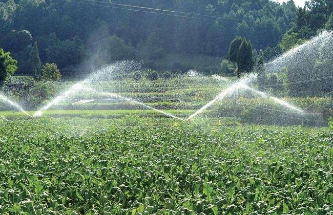 郑州水泵展:农业灌溉的方式有哪些