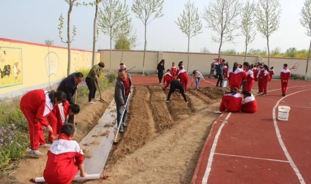 中小学劳动教育系列展示之昌邑市奎聚街道十字路小学