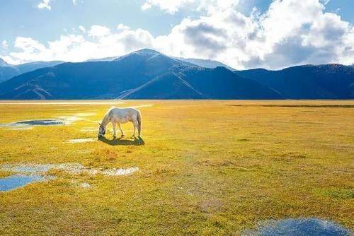 云南旅游攻略7天6晚，春节自由行，看完节省40%费用