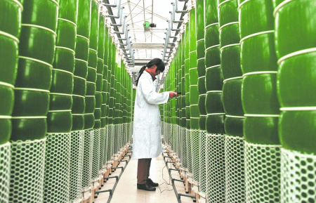 润科生物IPO:利润靠子公司输血 毛利率高同行近30%(图2)