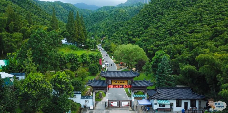 国内最能展现“竹之美”的城市 可谓是物尽其用 堪称中国第一竹乡