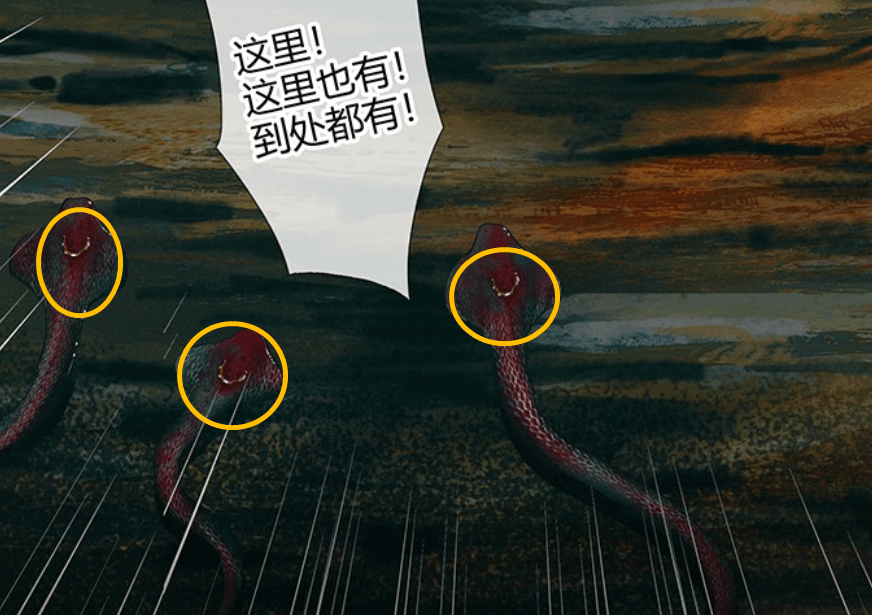 蝎尾蛇命运转折点在谢怜一行人来到半月关之前,蝎尾蛇还算是半月关的