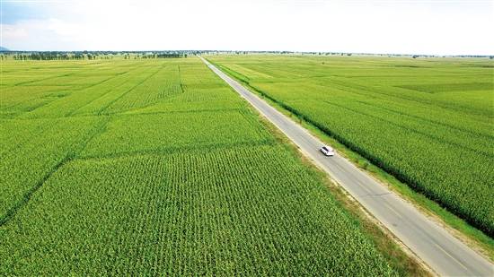 河南郸城县高标准农田建设会种田变慧种田
