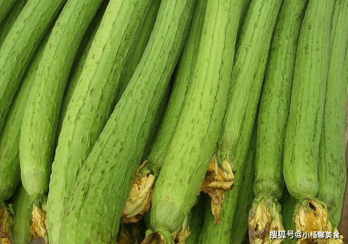冬瓜南瓜都见过 那么水瓜是什么 吃了之后对身体有什么功效 食用 冬瓜南瓜都见过 那么水瓜是什么 吃了之后对身体有什么功效 食用