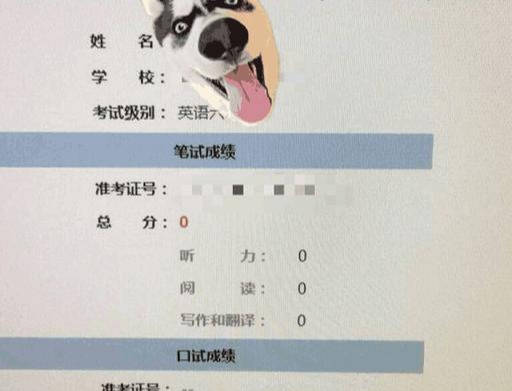 啥是四六级 b4b17e98e27f4ebca4411e722e7c0f00.jpeg