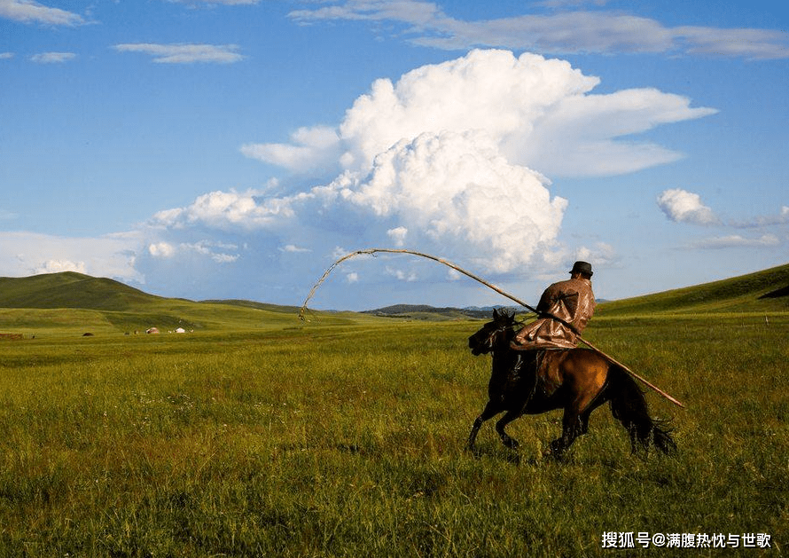 为何内蒙古草原的马都要被烙印？游客不忍直视，牧民：身份的象征